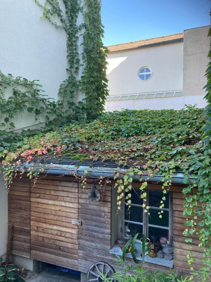 Pension Sunnseitn - Gasthof - Cafe - Weinkeller Haslach an der Mühl エクステリア 写真