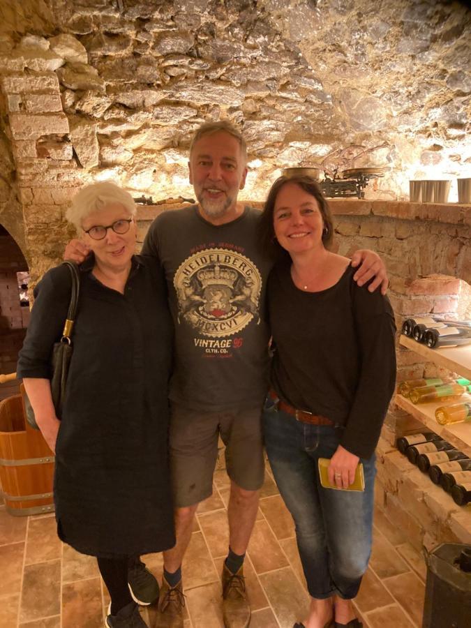 Pension Sunnseitn - Gasthof - Cafe - Weinkeller Haslach an der Mühl エクステリア 写真