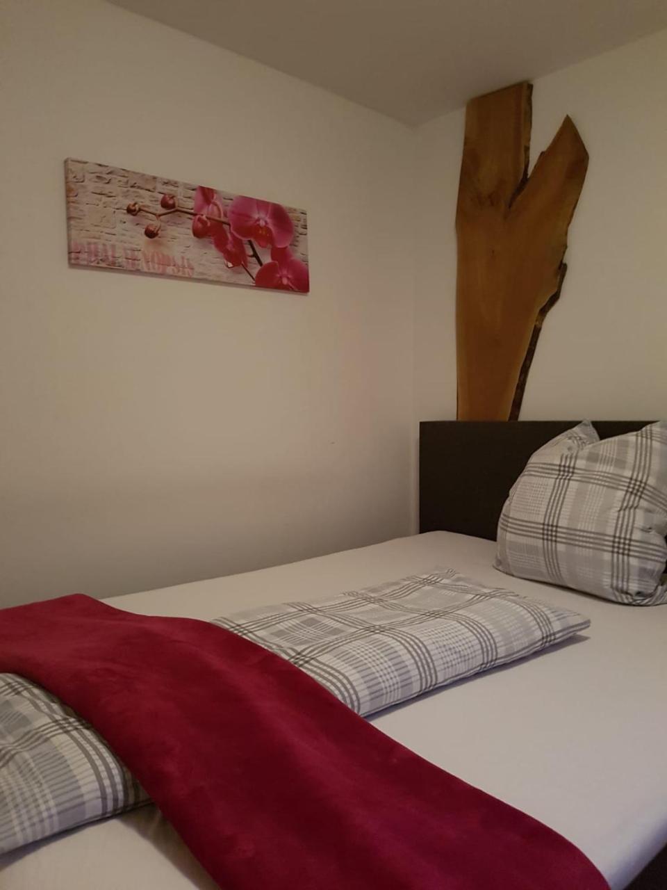 Pension Sunnseitn - Gasthof - Cafe - Weinkeller Haslach an der Mühl エクステリア 写真